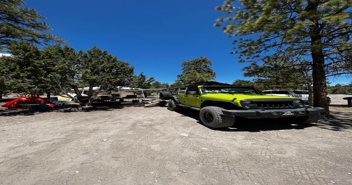 Dispersed Camping - Mormon Well Road/Desert Pass