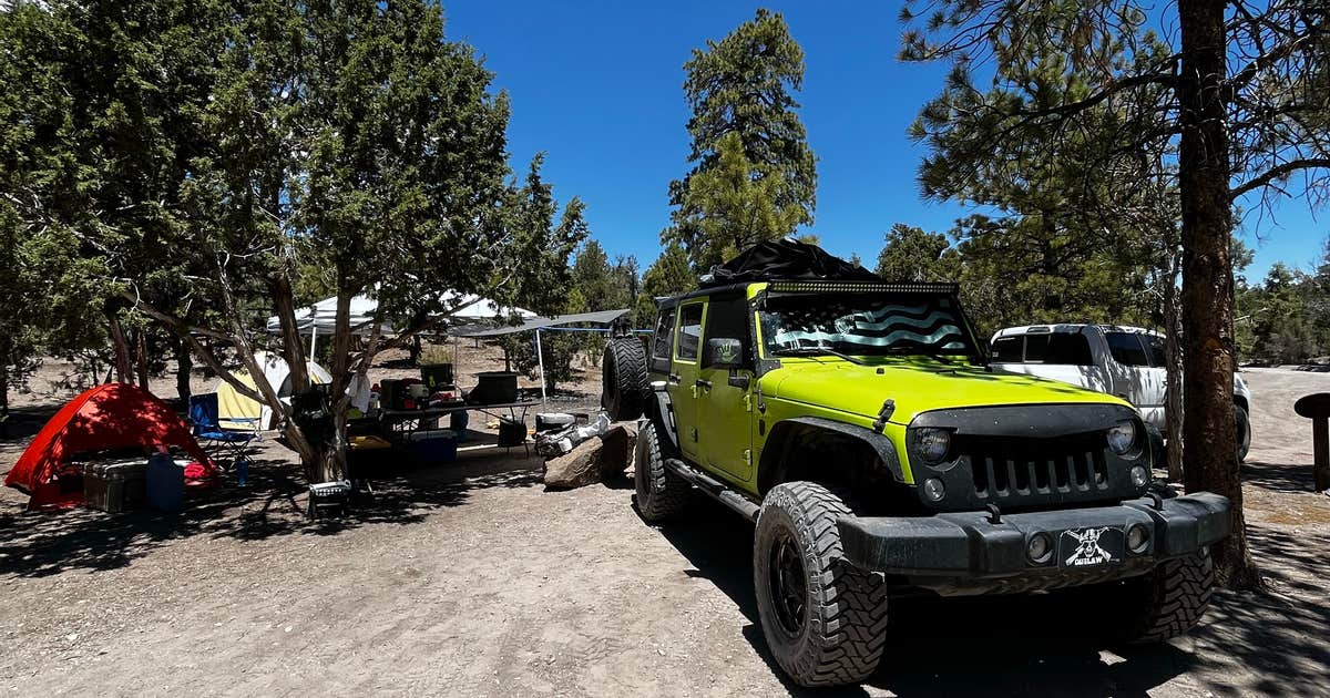 Dispersed Camping - Mormon Well Road/Desert Pass