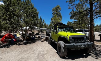  Dispersed Camping - Mormon Well Road/Desert Pass 