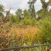 Review photo of Missouri Headwaters State Park Campground by Amy & Stu B., September 16, 2022