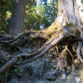 Review photo of Sol Duc Hot Springs Resort Campground — Olympic National Park by Graham C., August 4, 2016