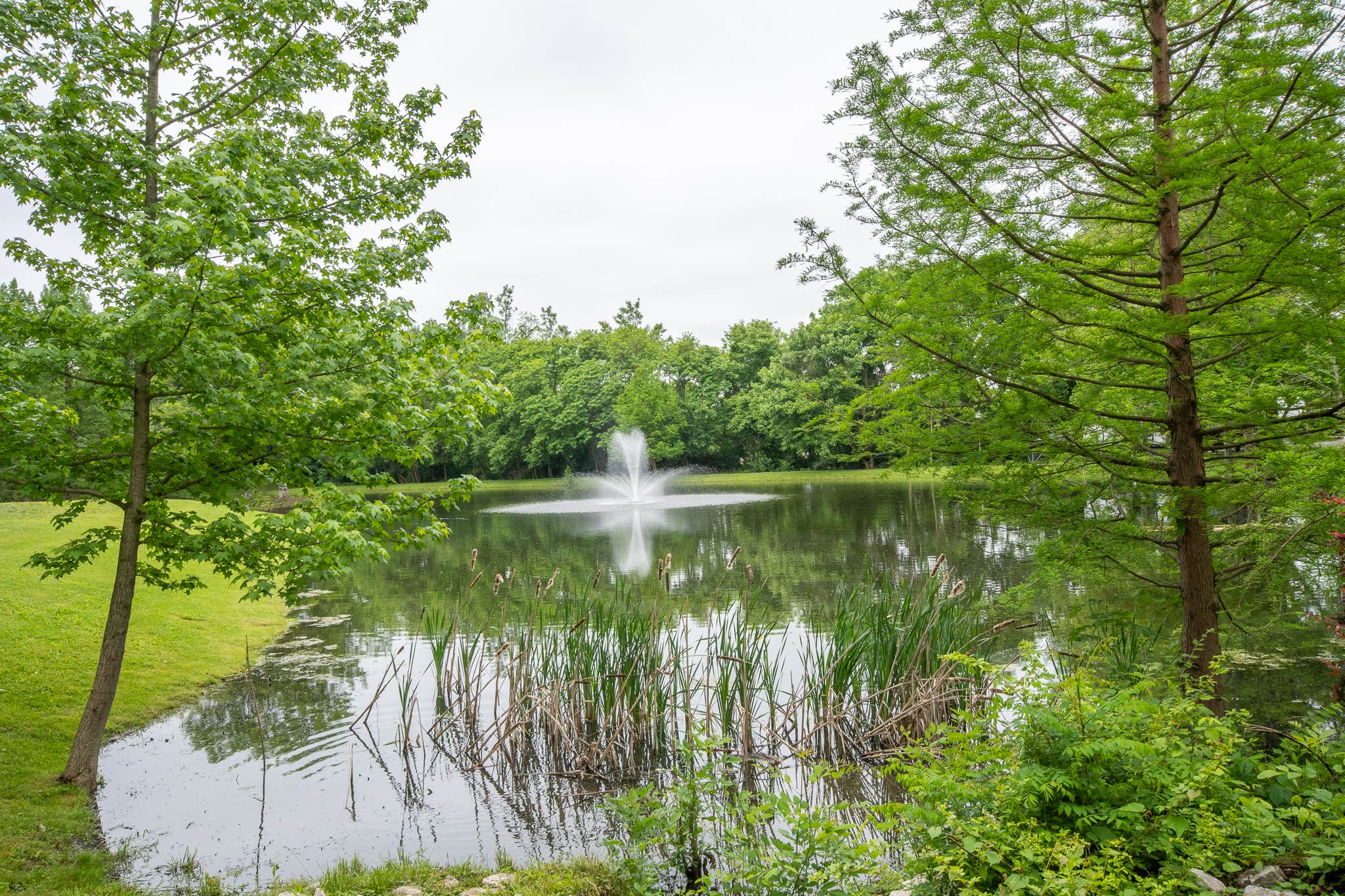 Camper-submitted photo at Northern Kentucky RV Park near West Fork of Mill Creek Lake