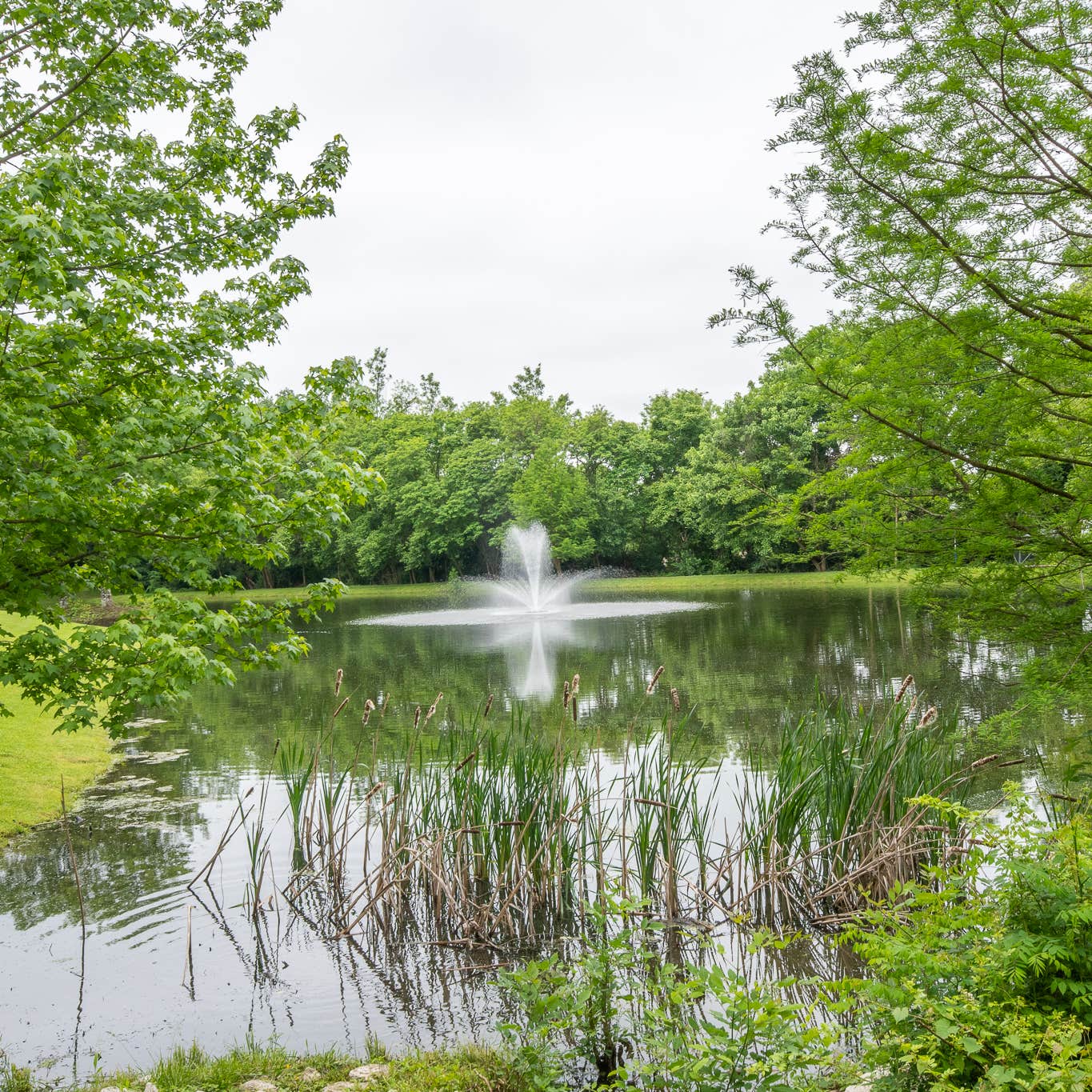 Northern Kentucky RV Park Camping | The Dyrt