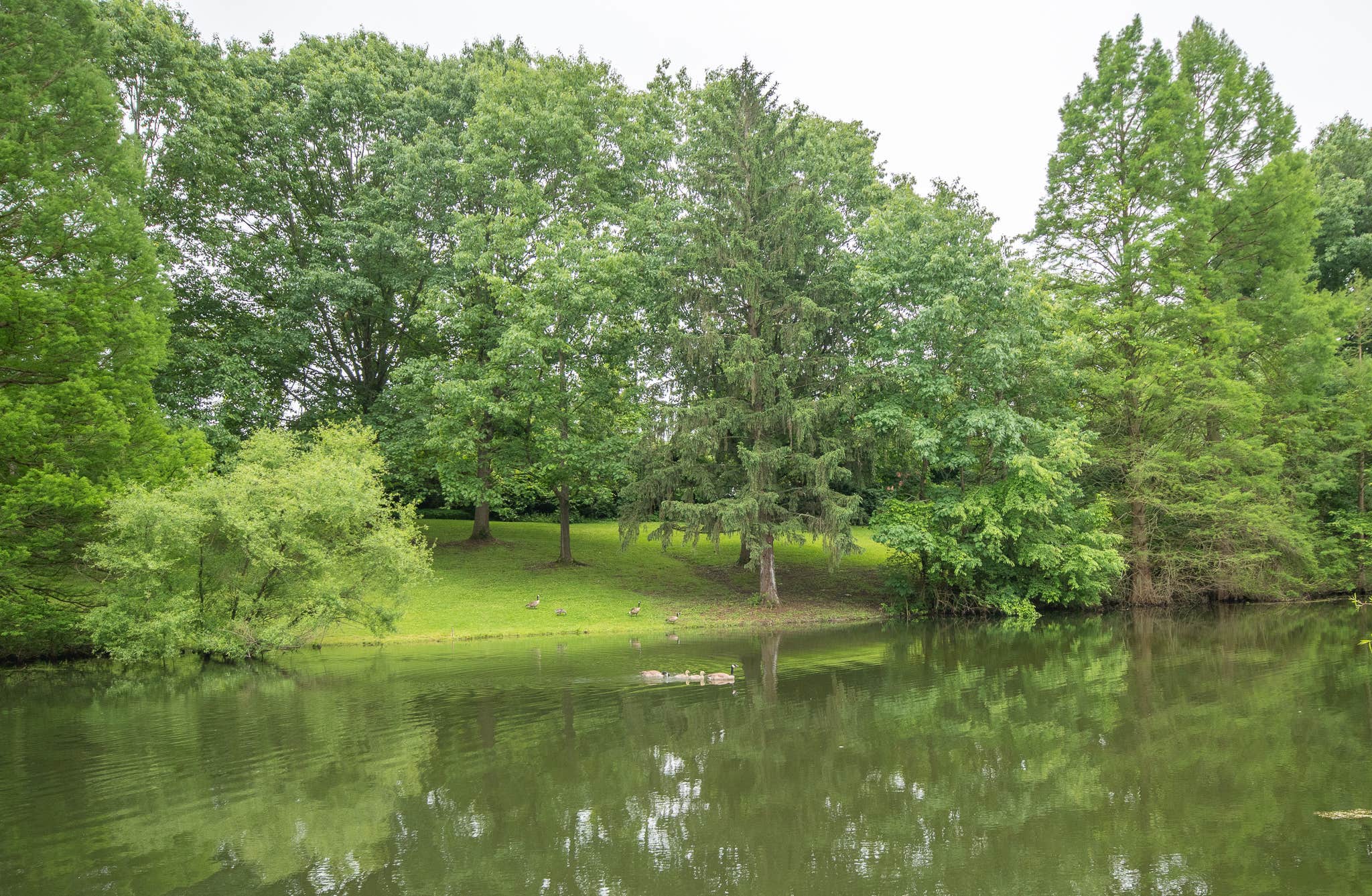 Camper-submitted photo at Northern Kentucky RV Park near Warsaw, KY