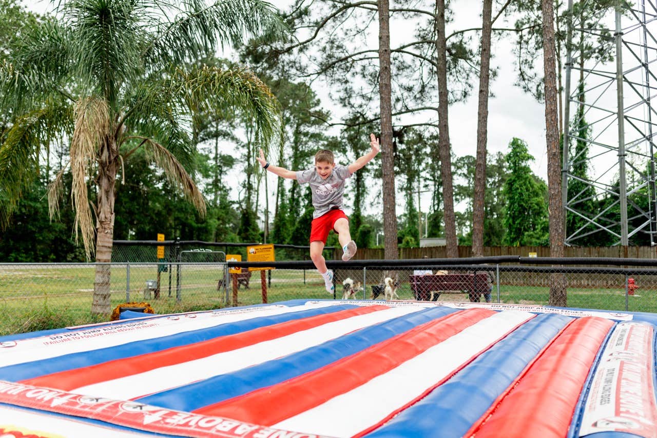 Camper-submitted photo at Jacksonville North-St. Marys KOA near Brunswick, GA