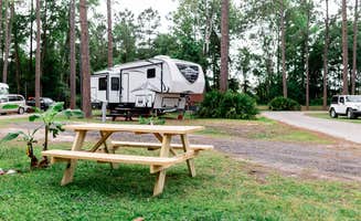 Barron's photo at Jacksonville North-St. Marys KOA near Fernandina Beach, FL