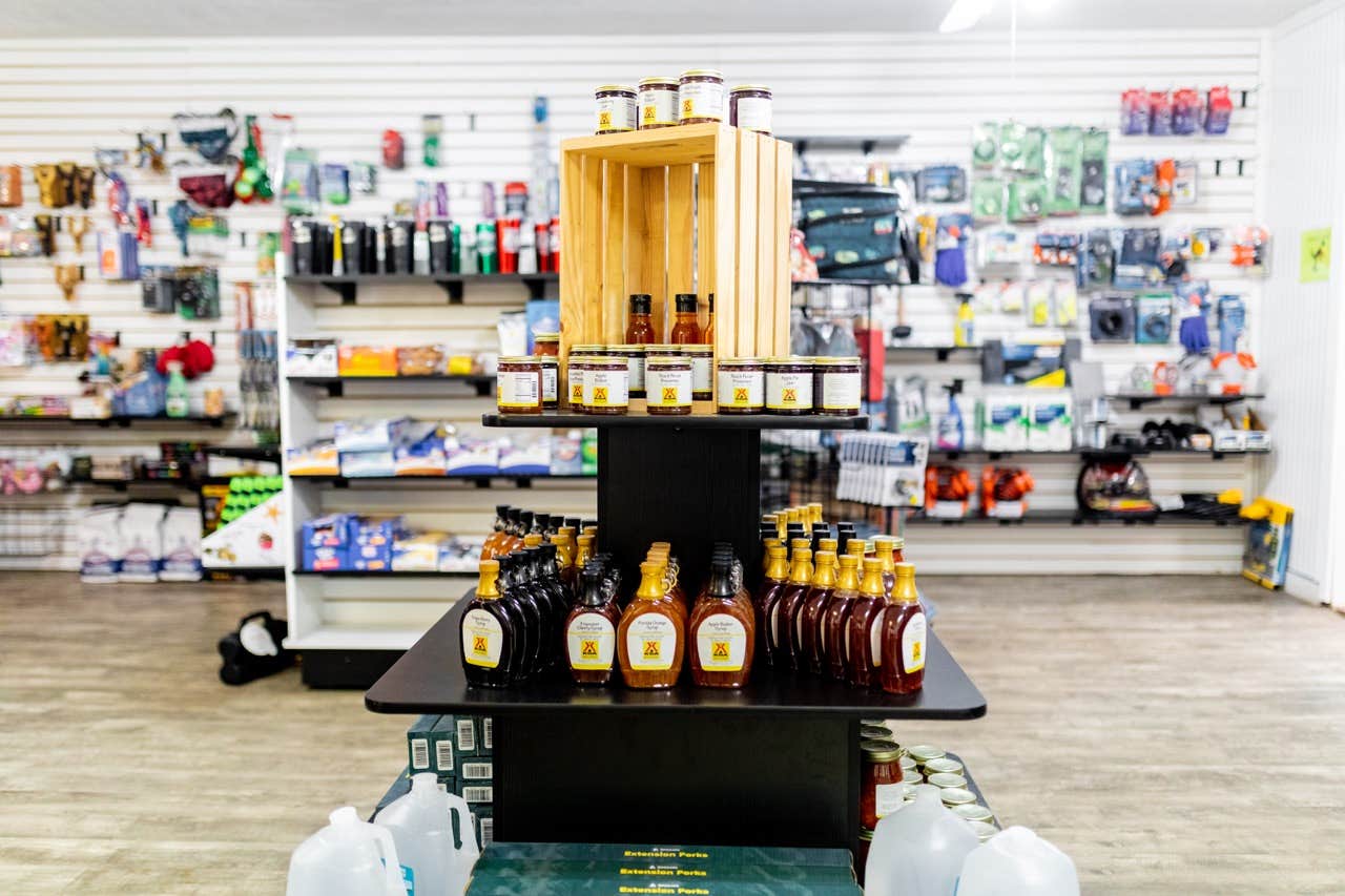 Camper-submitted photo at Jacksonville North-St. Marys KOA near Brunswick, GA