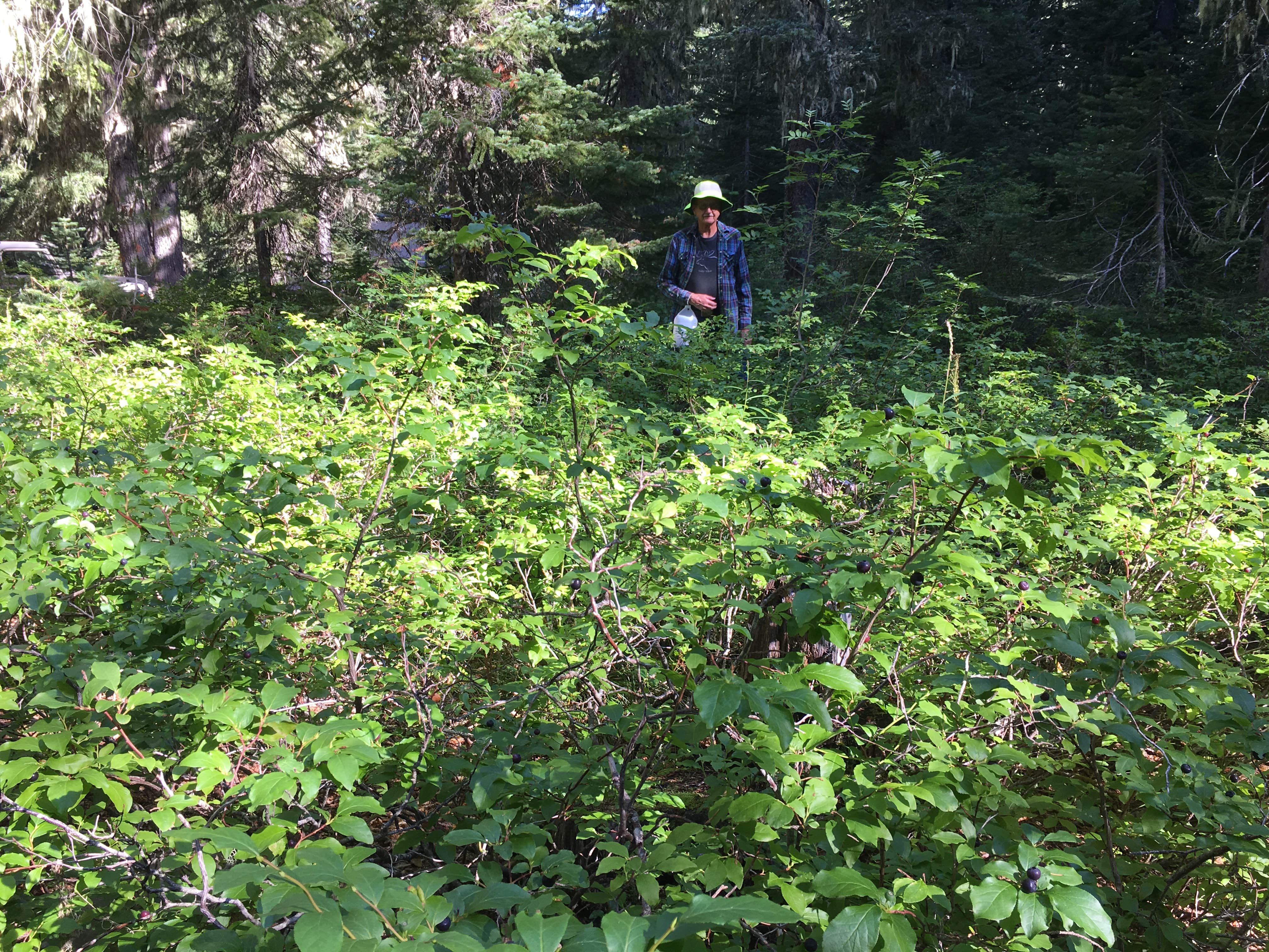 Camper-submitted photo at Tillicum Campground near Mosier, OR