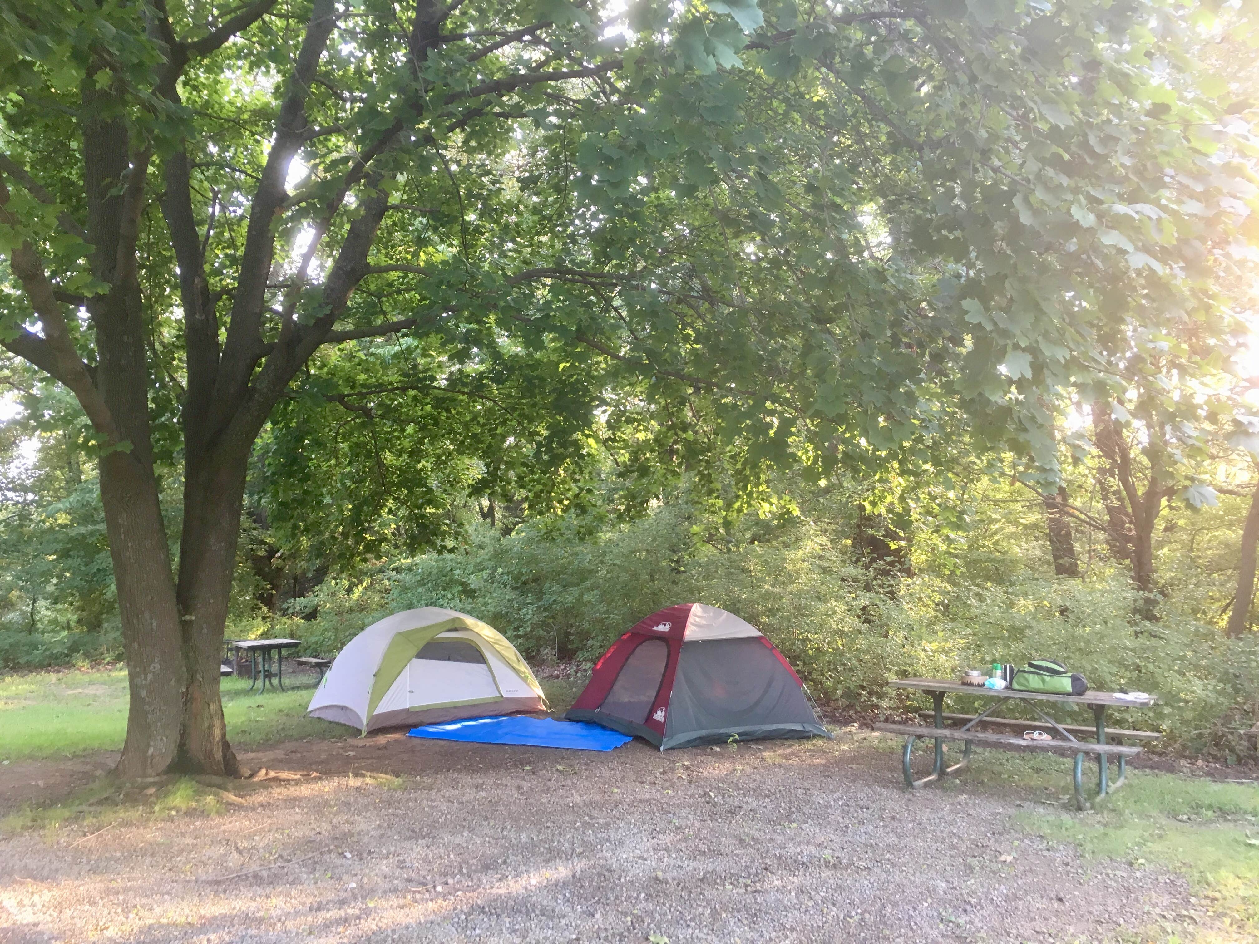 Camper submitted image from Waubonsie State Park Campground - 4