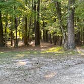 Review photo of Horine Reservation Camping at Jefferson County Memorial Forest  by Robert P., September 21, 2022