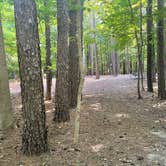 Review photo of Horine Reservation Camping at Jefferson County Memorial Forest by Robert P., September 21, 2022