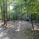 Review photo of Horine Reservation Camping at Jefferson County Memorial Forest by Robert P., September 21, 2022