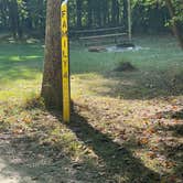 Review photo of Horine Reservation Camping at Jefferson County Memorial Forest by Robert P., September 21, 2022