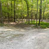 Review photo of Horine Reservation Camping at Jefferson County Memorial Forest by Robert P., September 21, 2022