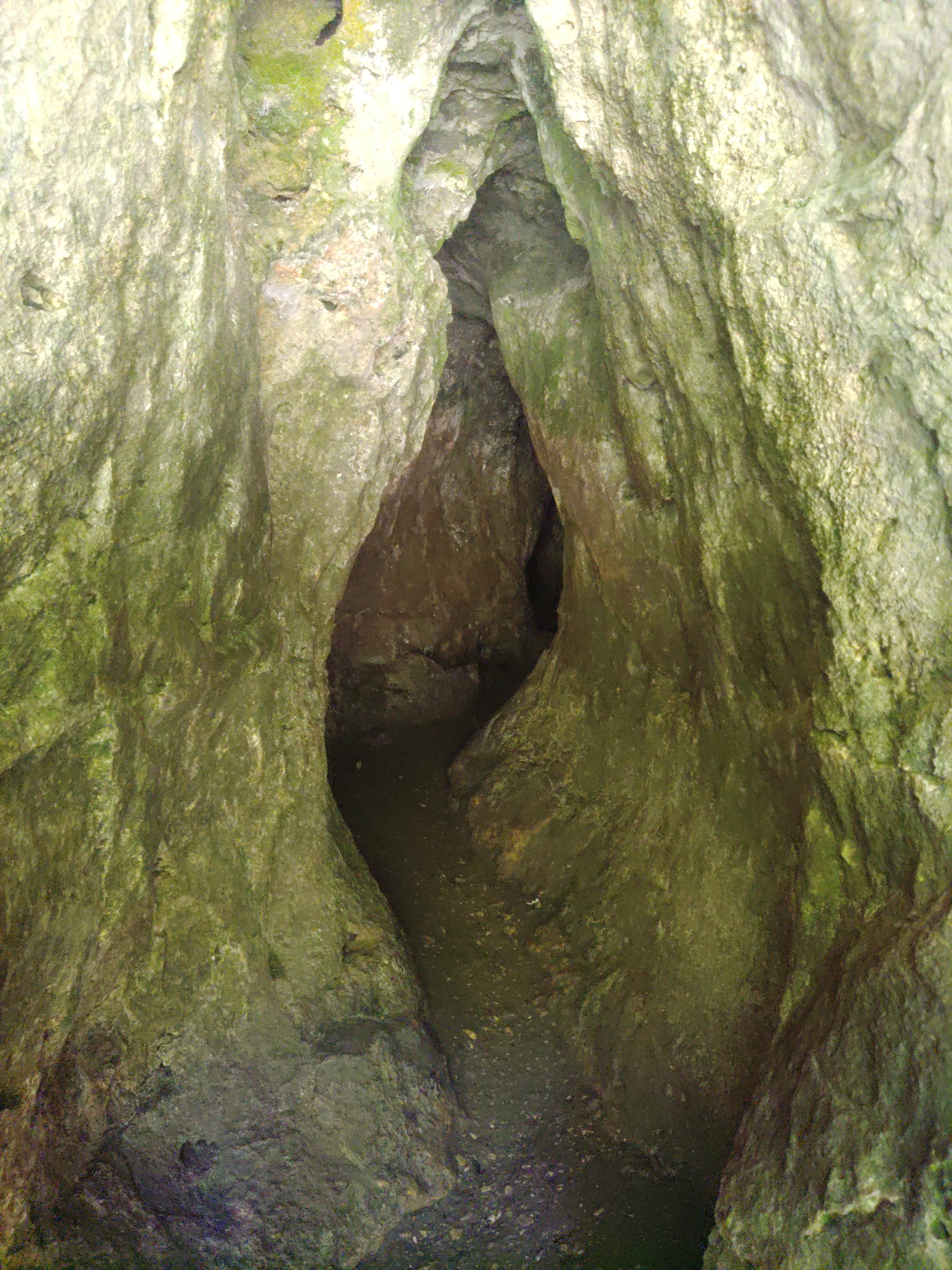 Camper-submitted photo at Wapsipinicon State Park Campground near Anamosa, IA