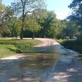 Review photo of Wapsipinicon State Park Campground by James M., September 21, 2022