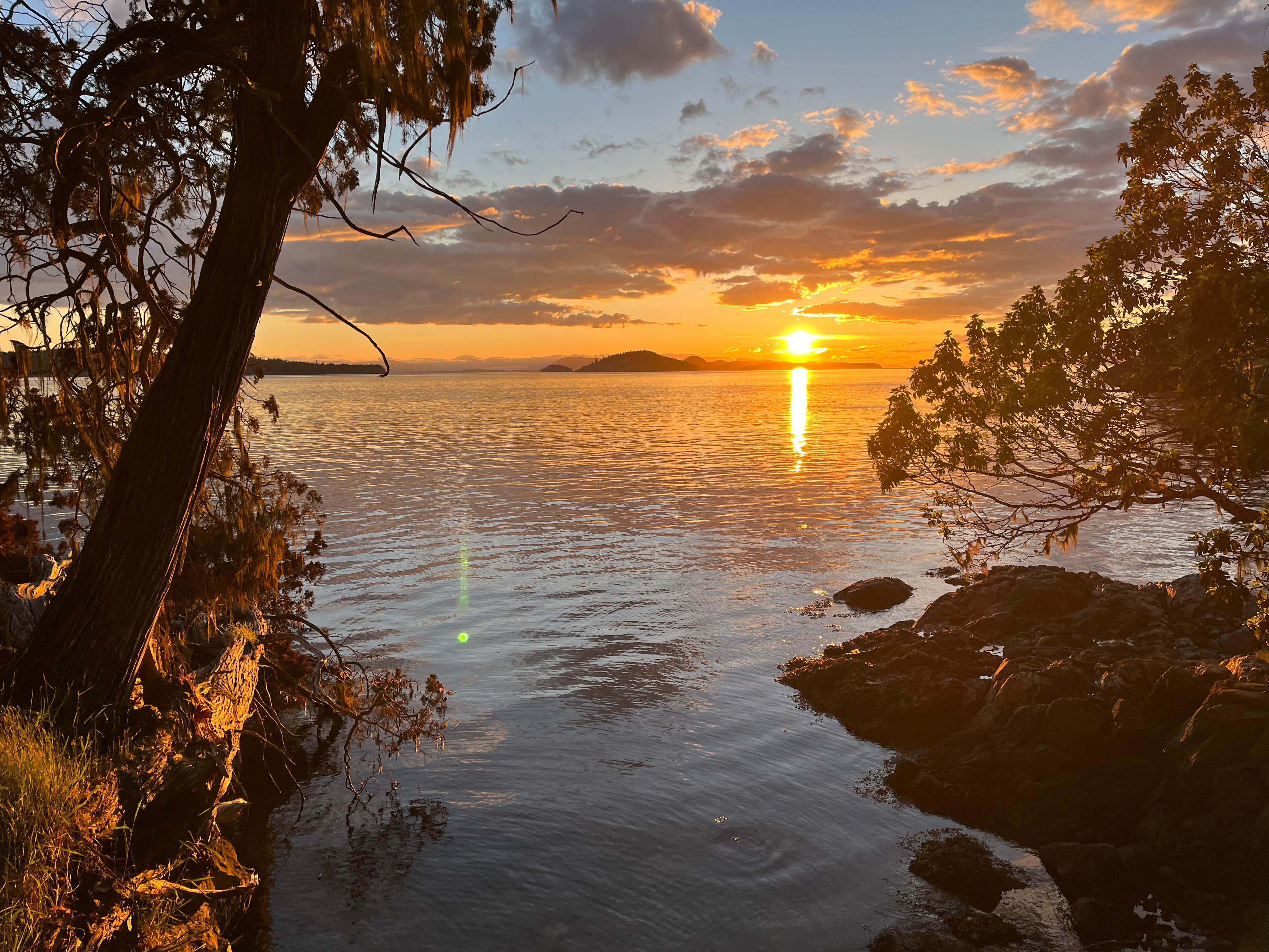 Camper-submitted photo at Jones Island Marine State Park Campground near Point Roberts, WA