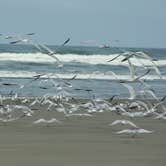 Review photo of Cape Disappointment State Park Campground by David C., April 28, 2015