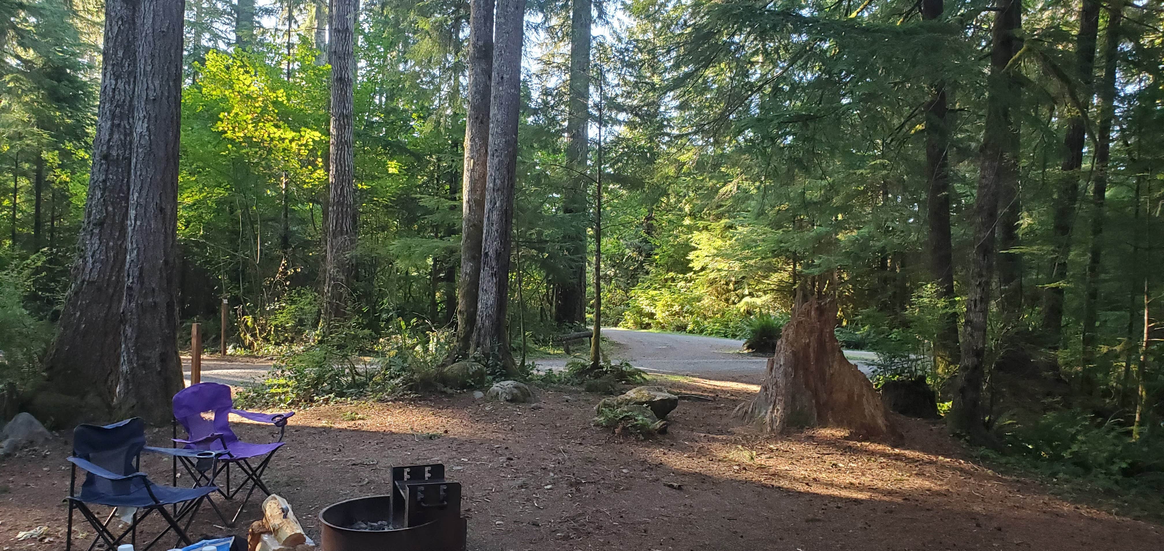 Bear Creek Campground Sappho WA