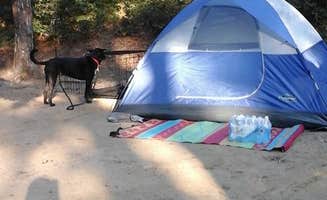 Kelly R.'s photo at Sweetwater Forest near Truro, MA