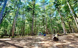Lauren M.'s photo at Platte River Campground — Sleeping Bear Dunes National Lakeshore near Arcadia, MI