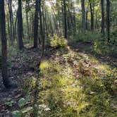 Review photo of Dunewood Campground — Indiana Dunes National Park by Lauren M., September 22, 2022