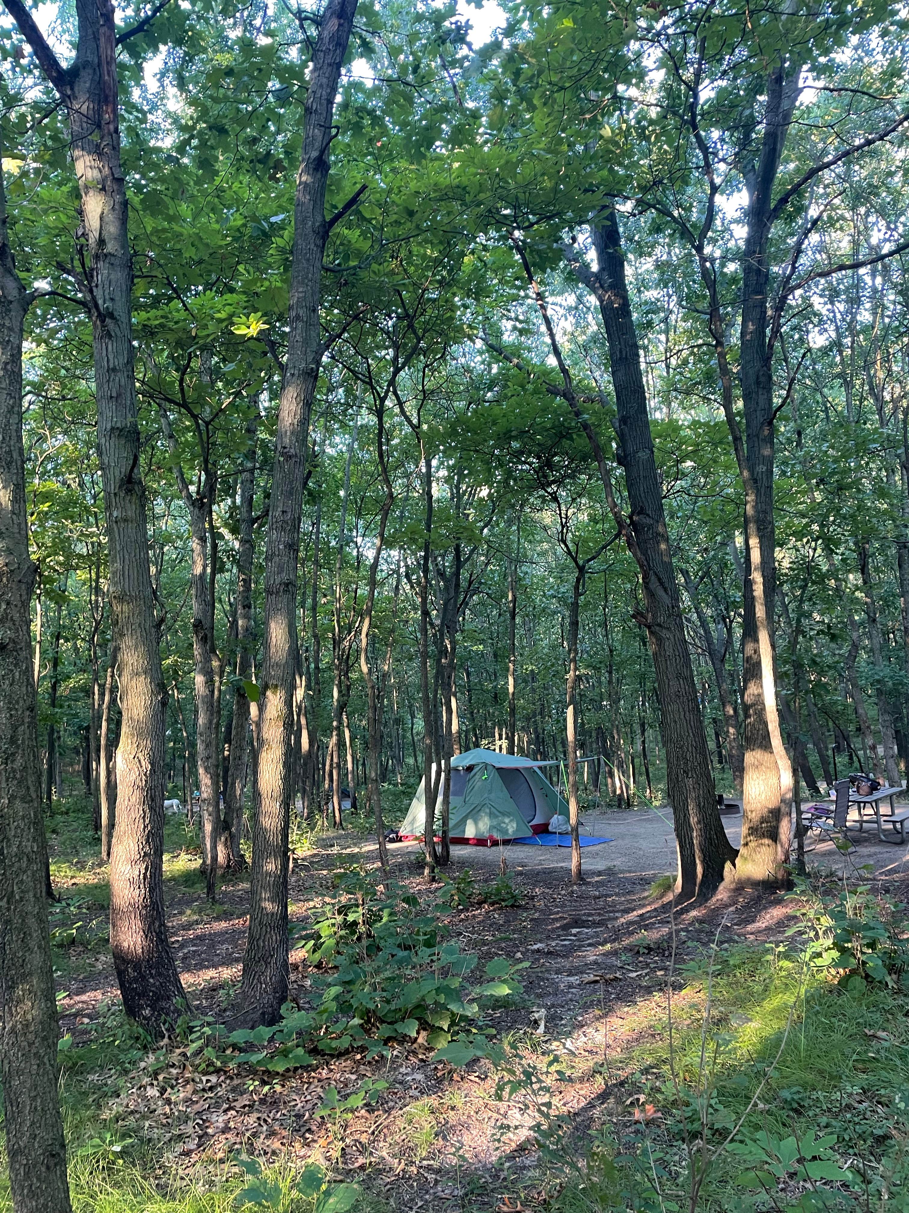 Lauren M.'s photo at Dunewood Campground — Indiana Dunes National Park near Crown Point, IN