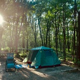 Review photo of Dunewood Campground — Indiana Dunes National Park by Lauren M., September 22, 2022