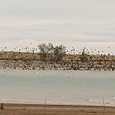 Review photo of Belle Fourche Reservoir by Sharon F., September 22, 2022