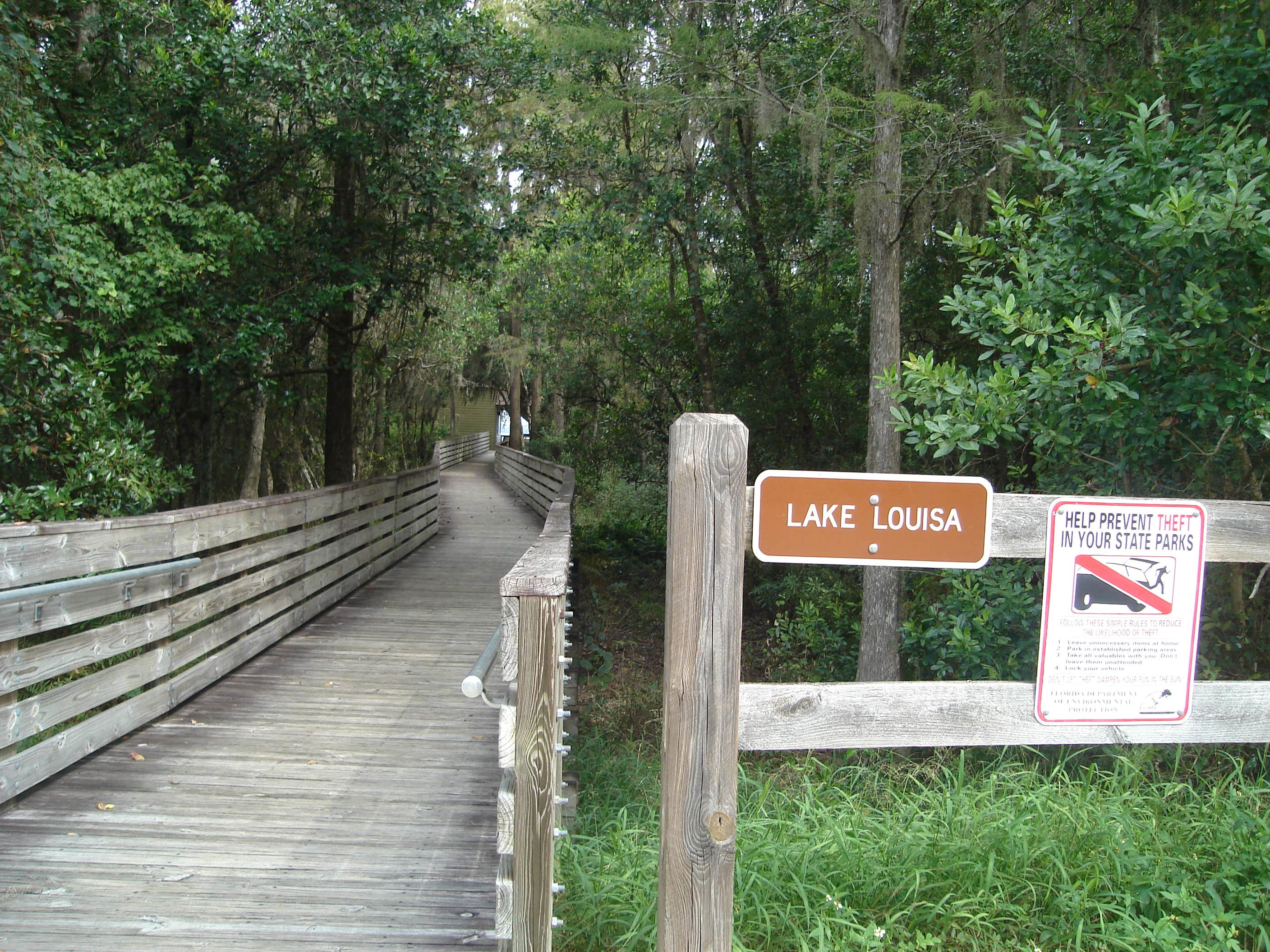 Camper submitted image from Lake Louisa State Park Campground - 5