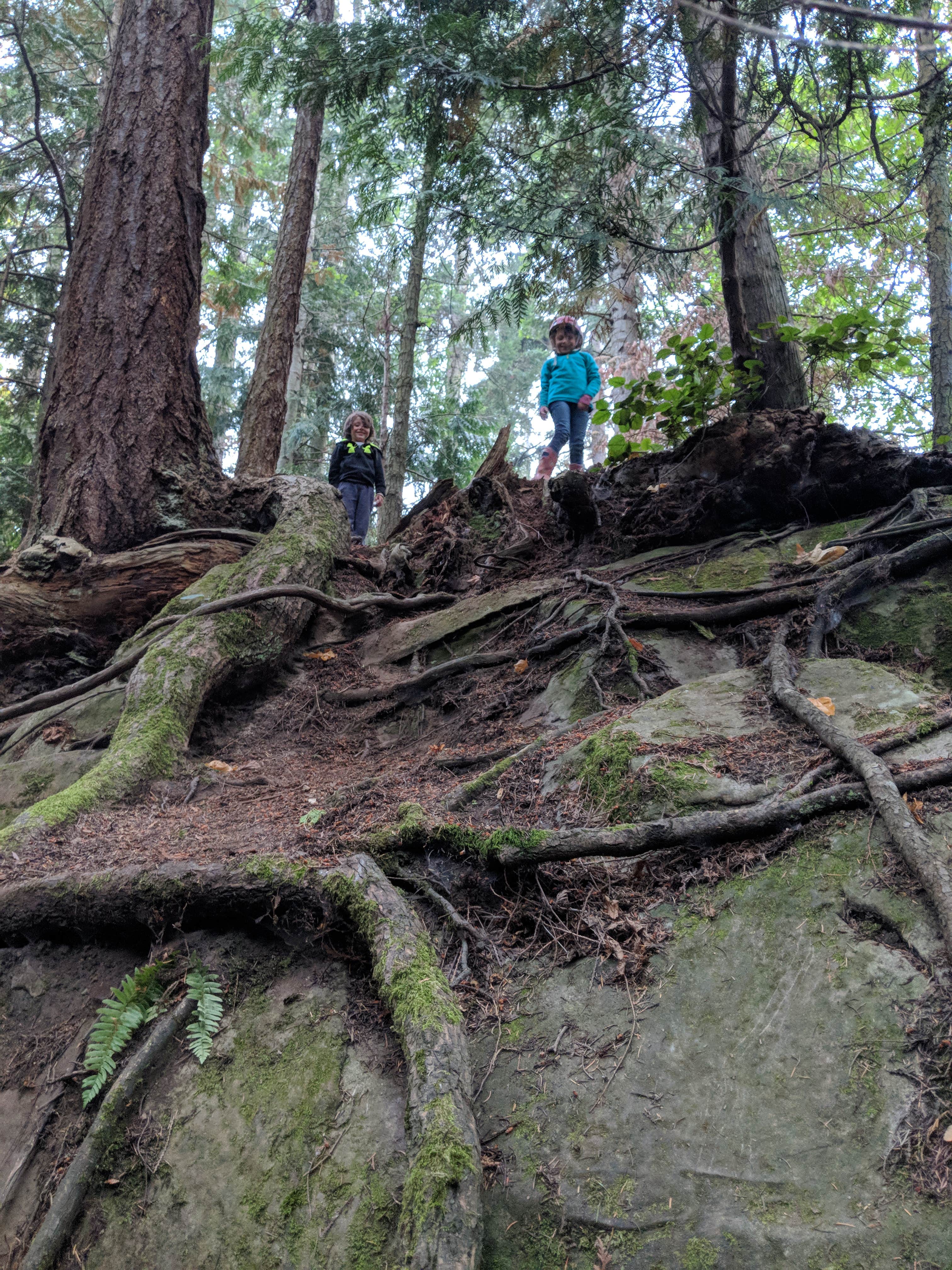 Fun wooded climbing area in the campground