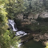Review photo of Old Mill Camp and General Store  by Liz H., September 2, 2018