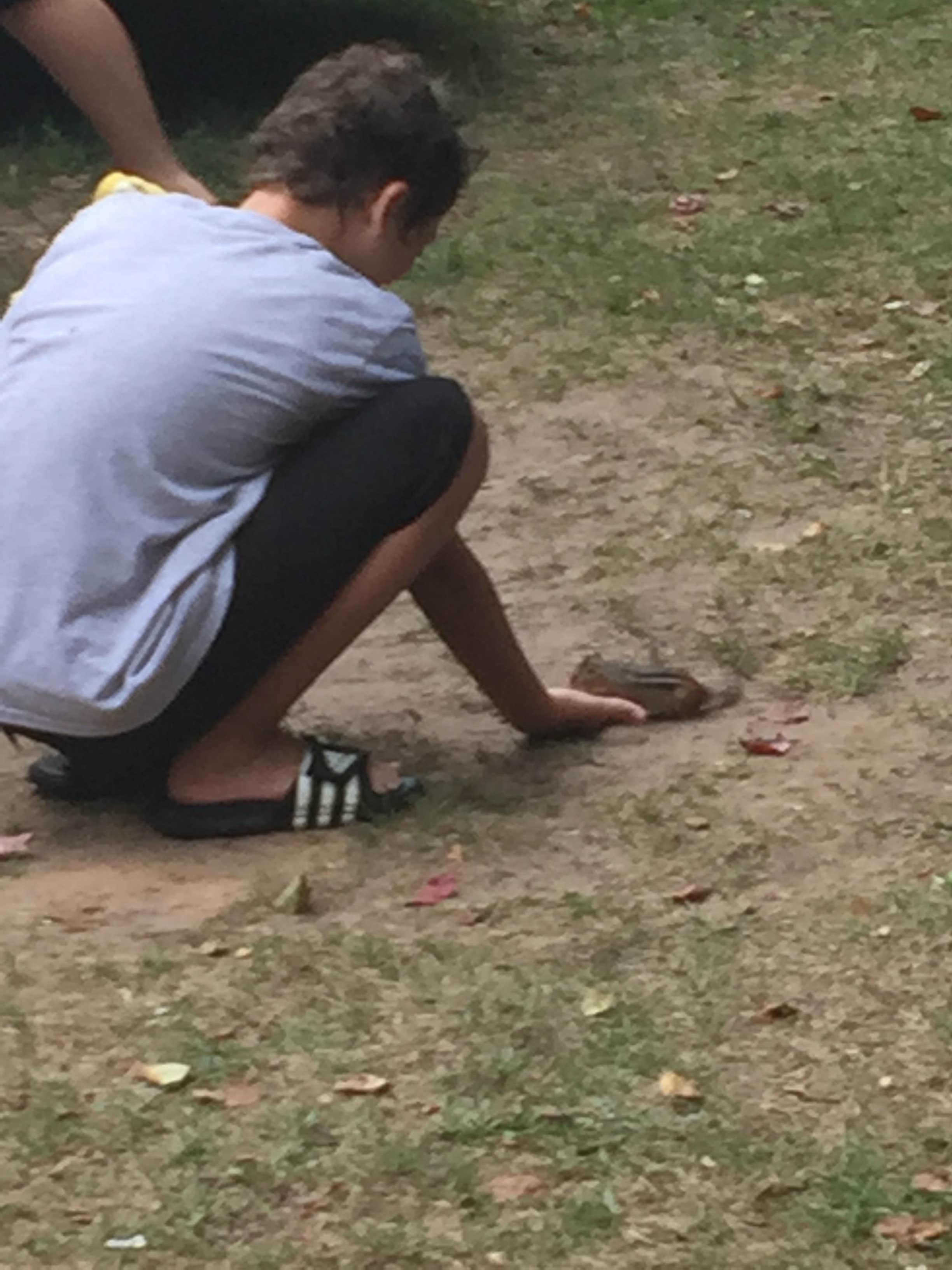 Camper-submitted photo at Brimley State Park Campground near Eckerman, MI