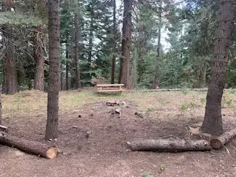 Camper-submitted photo at Camp Ashland near Talent, OR