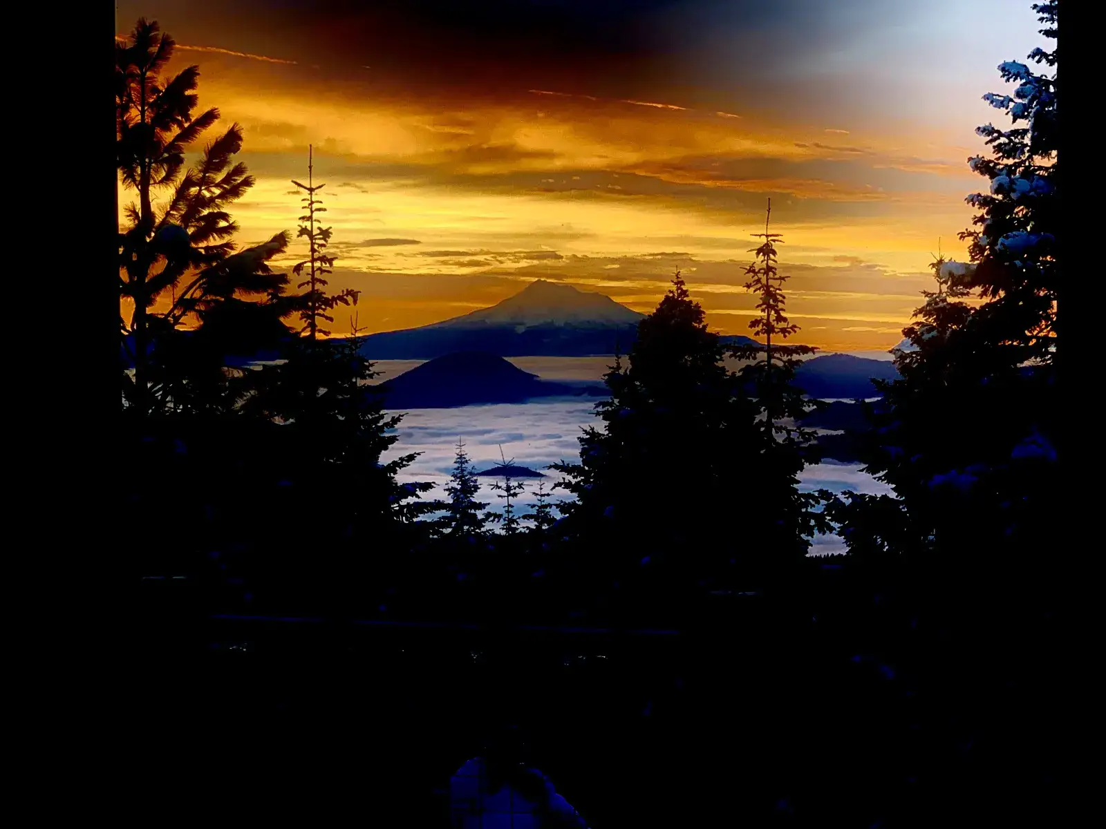 Camper-submitted photo at Camp Ashland near Talent, OR