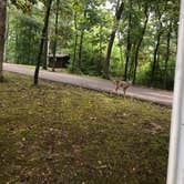 Review photo of Robertsville State Park Campground by Jeff L., September 22, 2022