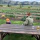 The Farm Escape