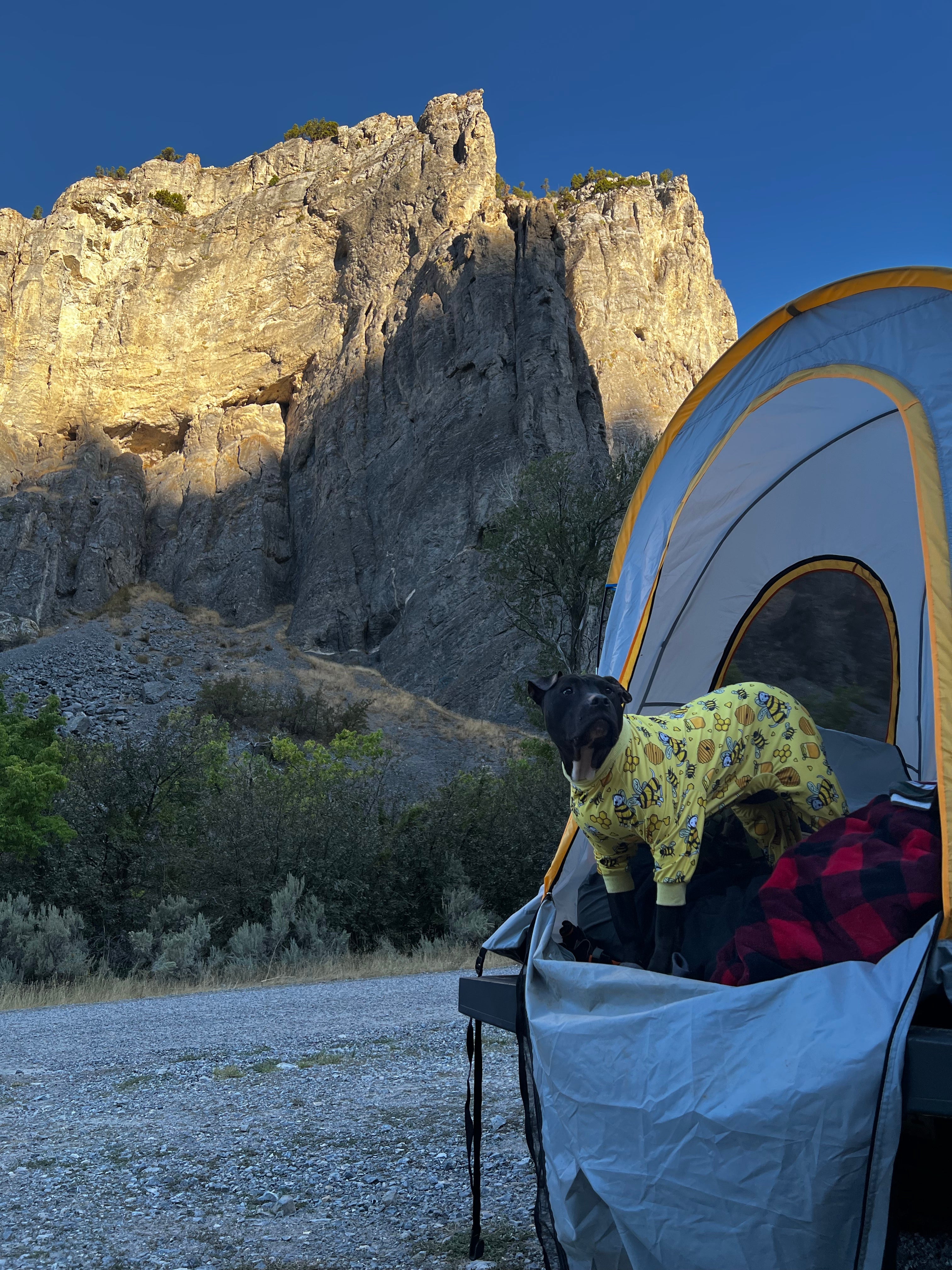 Camper submitted image from Wolverine Canyon - 5