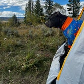 Review photo of Buffalo Valley Designated Dispersed Camping by Jacquelyn H., September 22, 2022