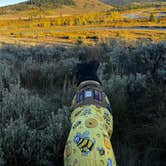 Review photo of Buffalo Valley Designated Dispersed Camping by Jacquelyn H., September 22, 2022