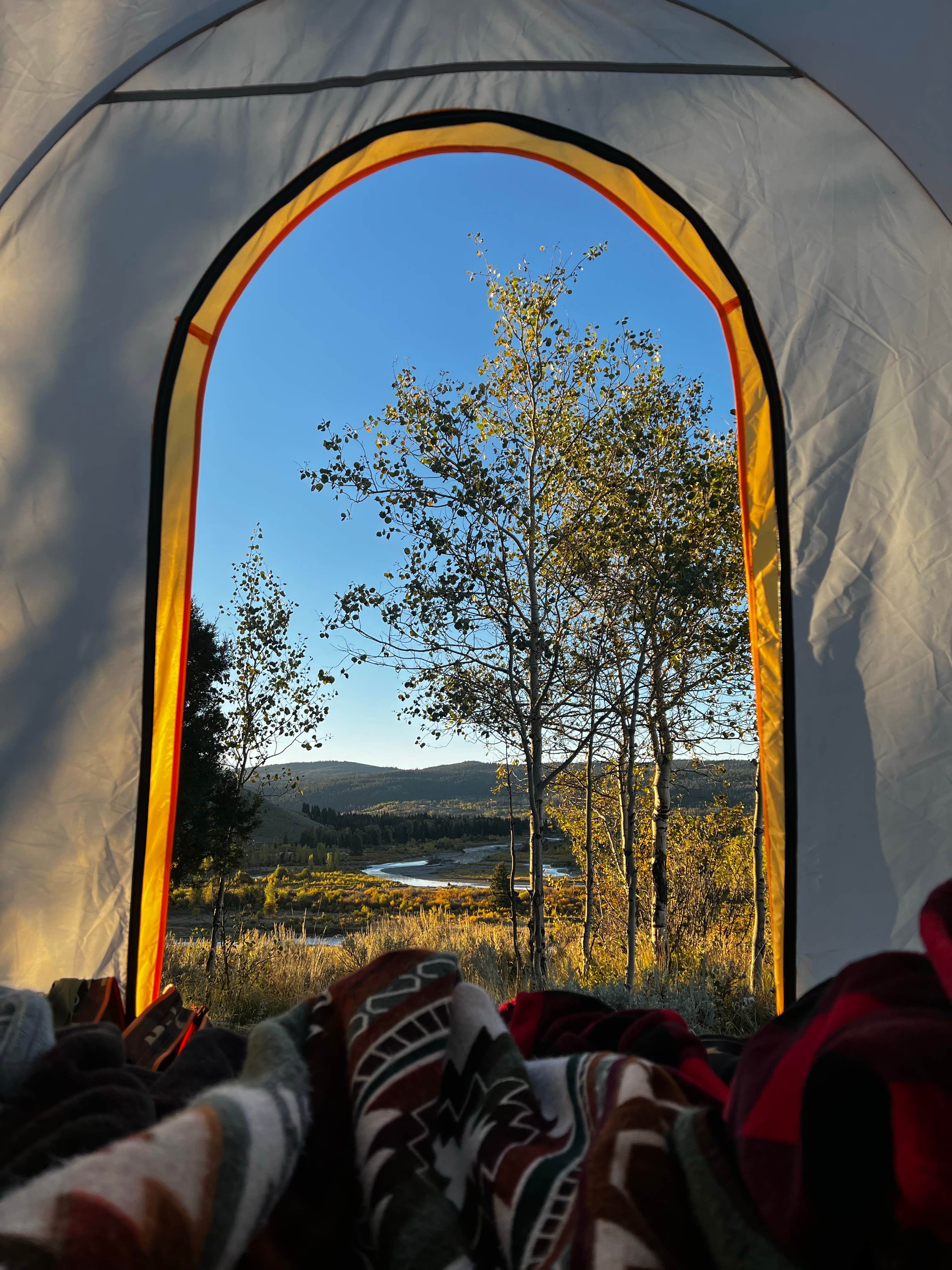 Camper submitted image from Buffalo Valley Designated Dispersed Camping - 5