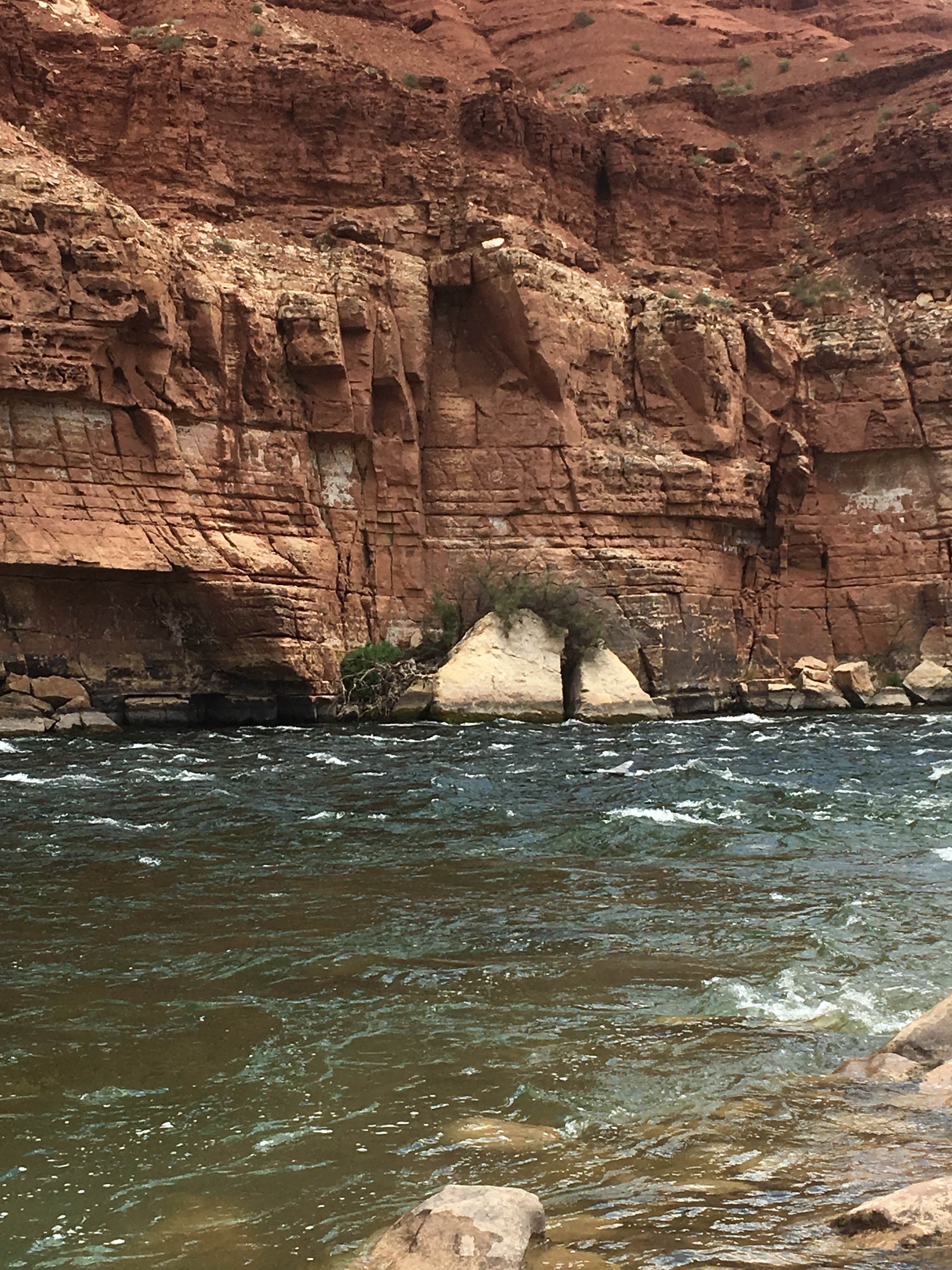 Camper submitted image from Lees Ferry Campground — Glen Canyon National Recreation Area - 5