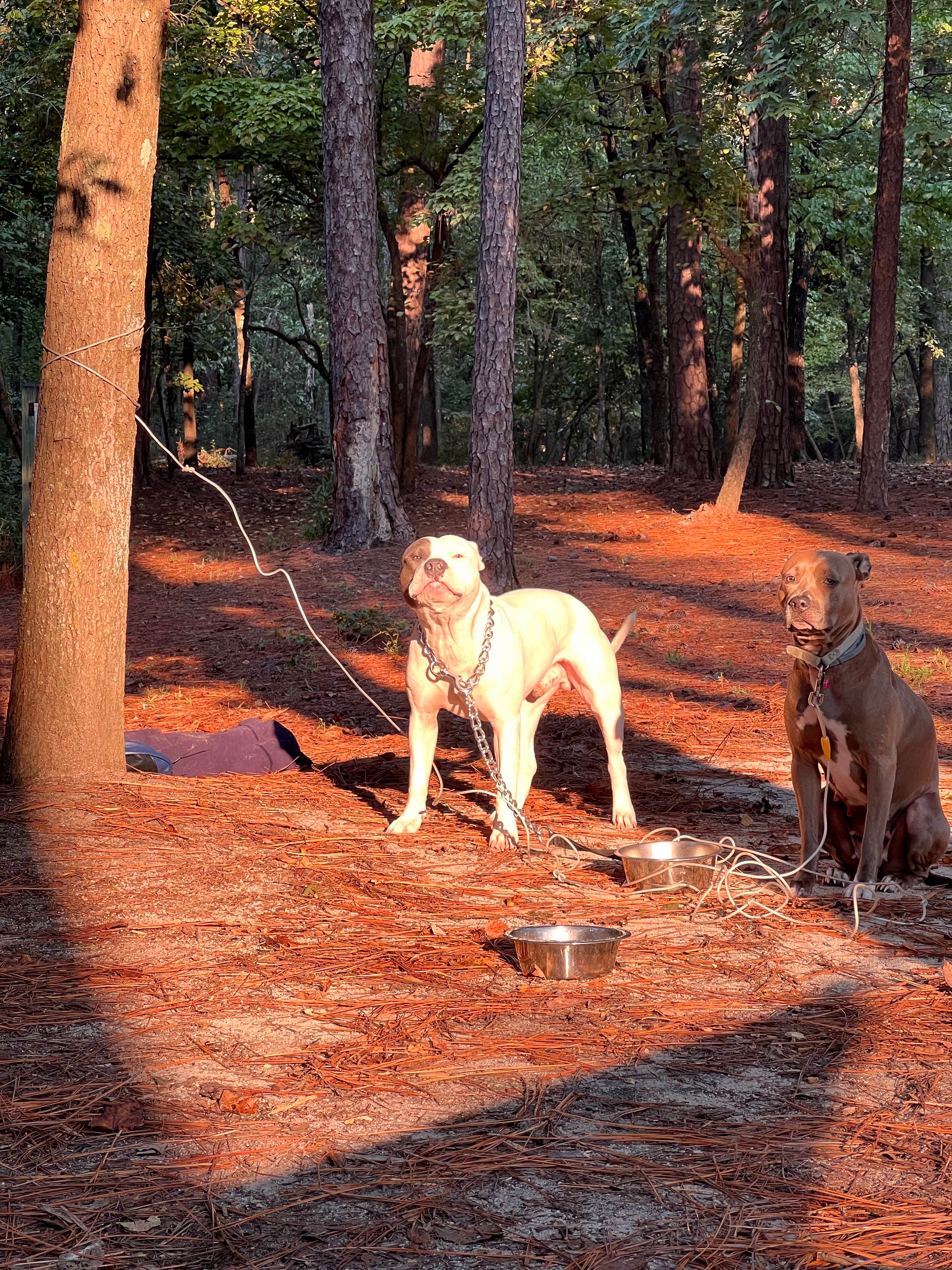 Camper-submitted photo at Cedar Pond Campground near Evans, GA