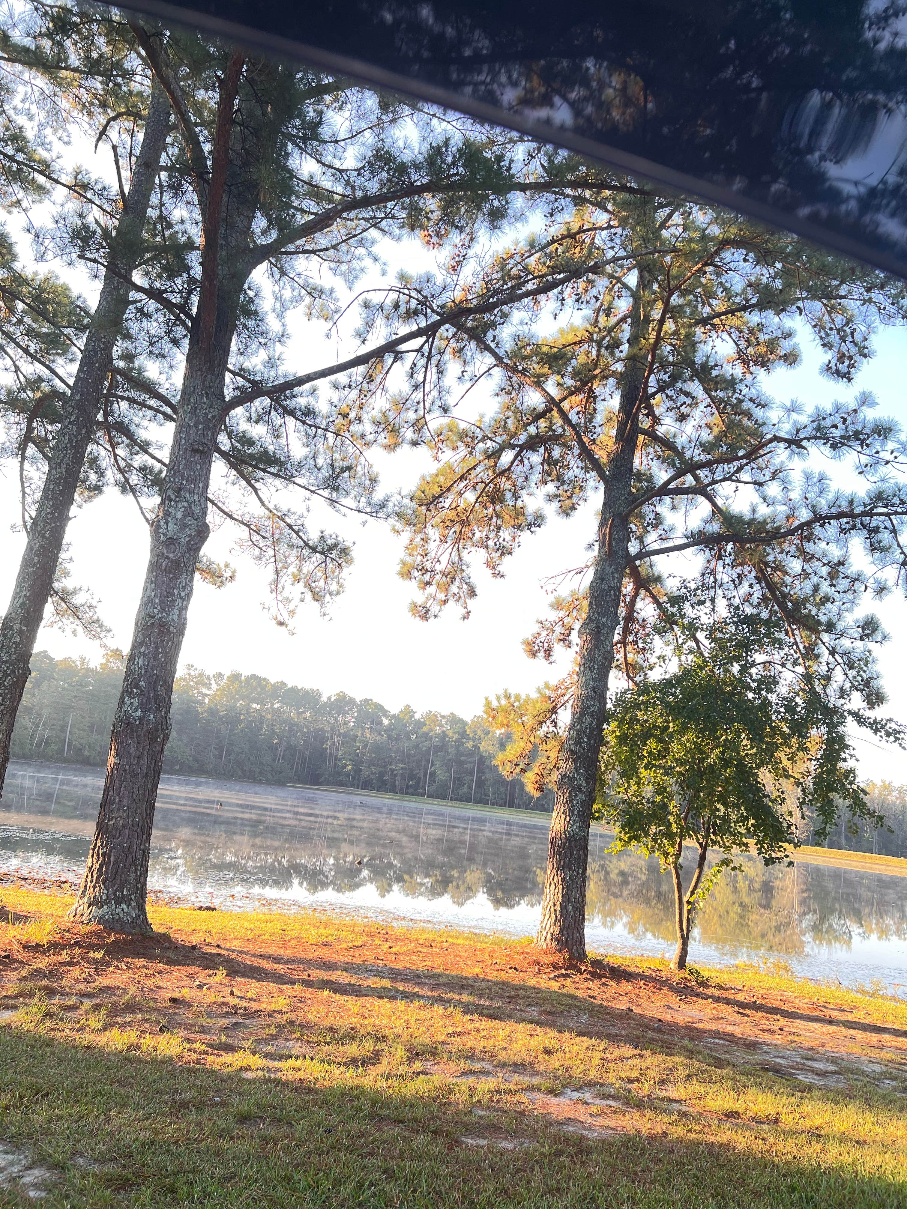 Camper-submitted photo at Cedar Pond Campground near Evans, GA