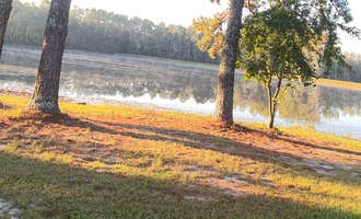 Camping near Stable View: Cedar Pond Campground, Pelion, South Carolina