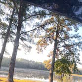 Review photo of Cedar Pond Campground by HeZ 🧜., September 22, 2022