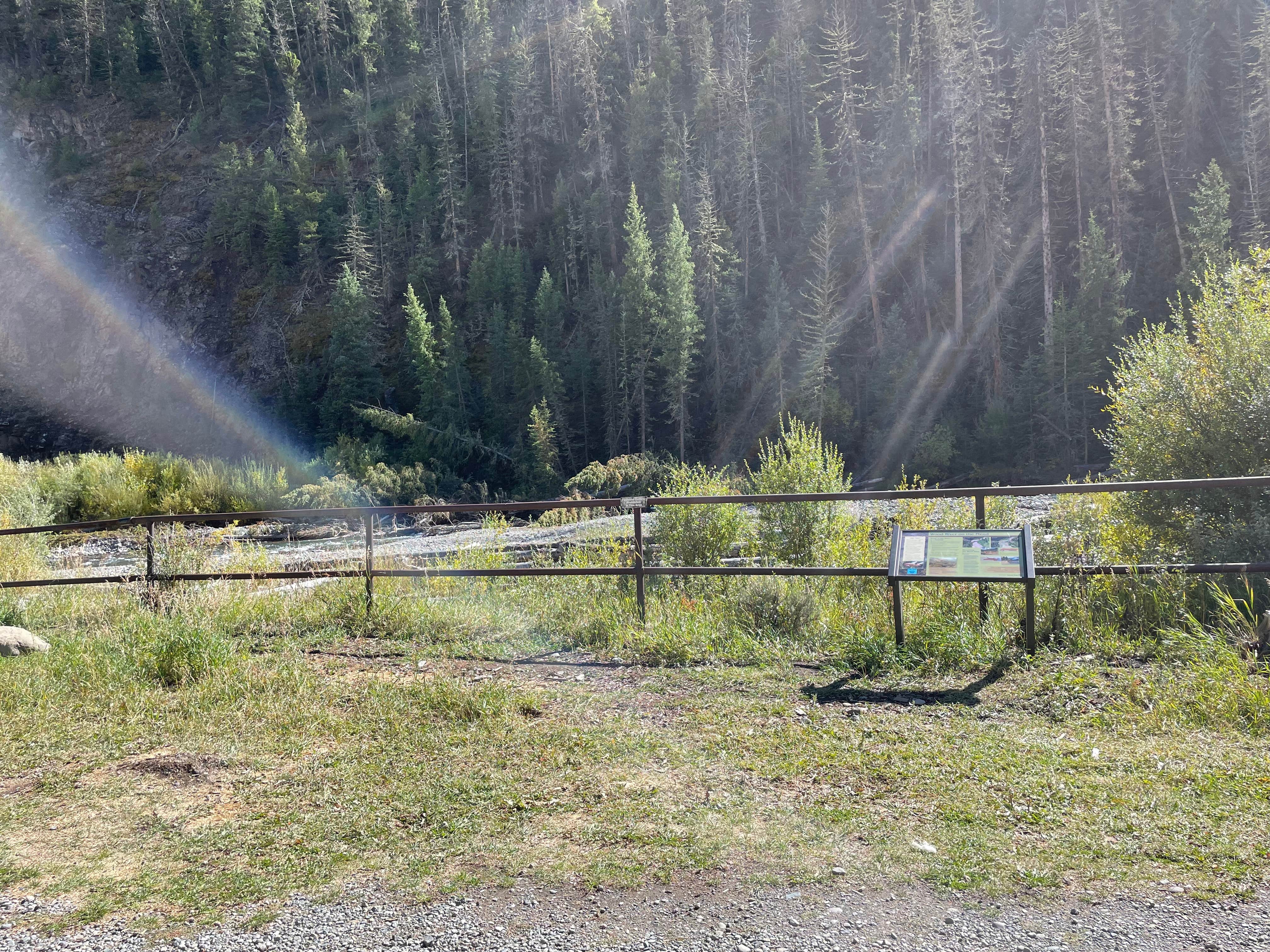 Camper-submitted photo at Wood River near Shoshone National Forest