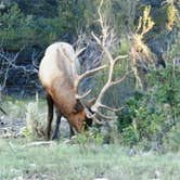 Review photo of Mather Campground — Grand Canyon National Park by Jeanene A., August 4, 2016