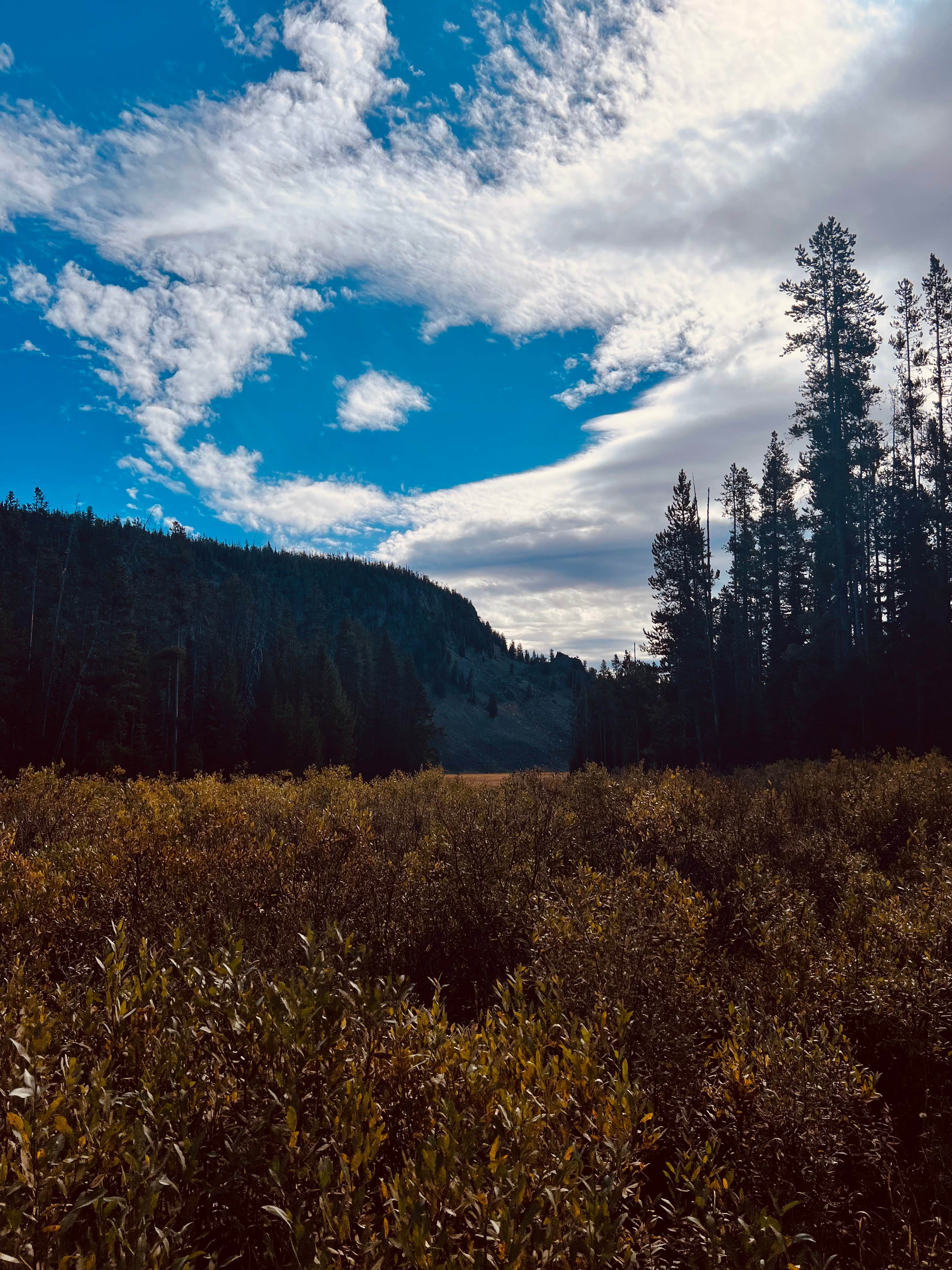 Camper-submitted photo at Ashton-Flagg Ranch Road near John D. Rockefeller Jr. Memorial Parkway