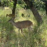 Review photo of Bog Springs Campground by Name , September 23, 2022